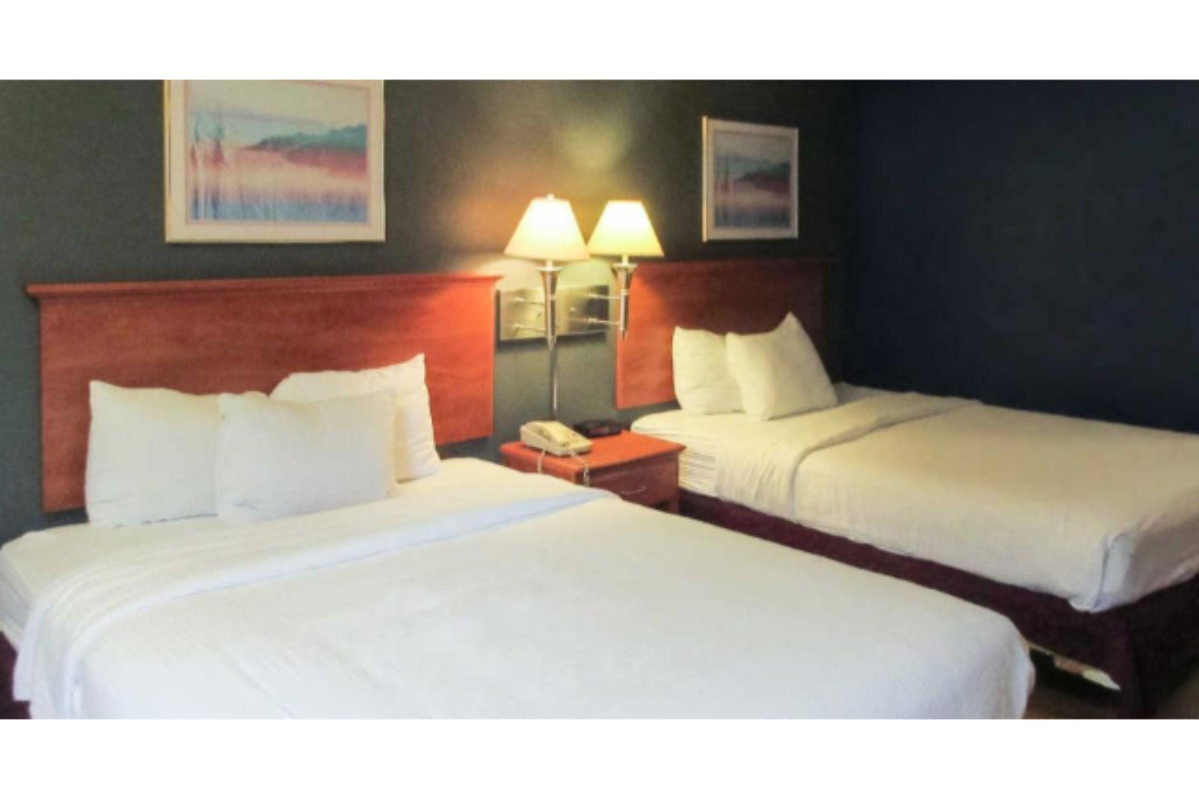 Quality Inn & Suites Albany Corvallis Ngoại thất bức ảnh